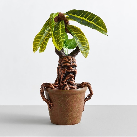 Pottery Barn World of Harry Potter Herbology Lit Mandrake Root from Hogwarts - Picture 2 of 9